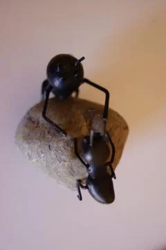 Ants - A Helping Hand Stock Photos