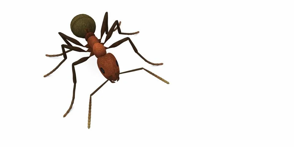Ants Stock Illustration