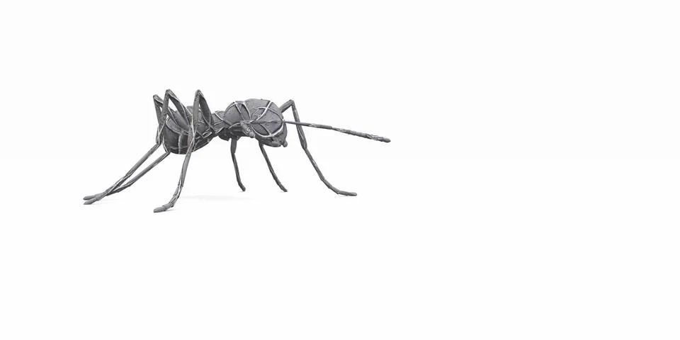Ants Stock Illustration
