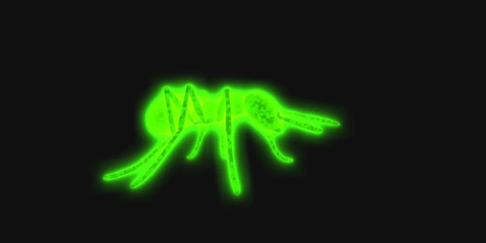 Ants Illustrazione stock