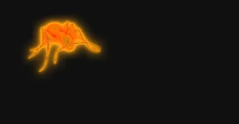 Ants Stock Illustration