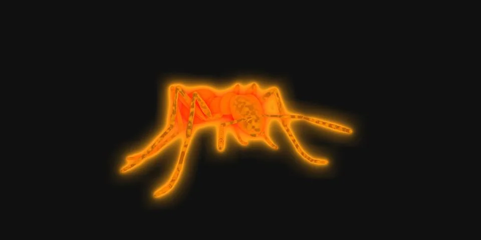 Ants Stock-Illustration