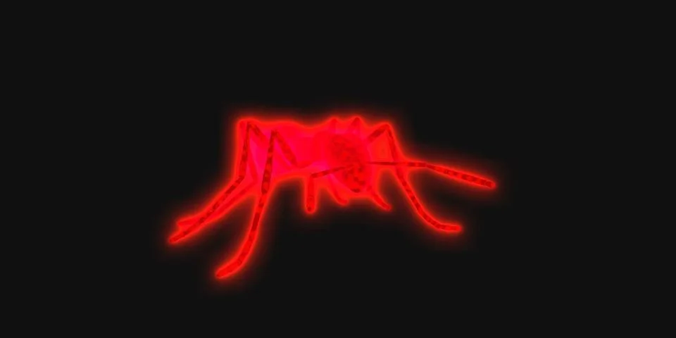 Ants Stock Illustration