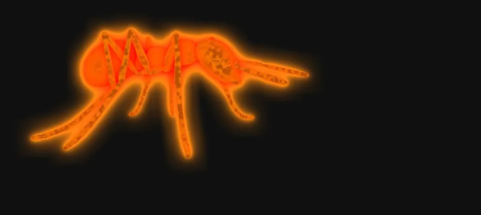 Ants Stock-Illustration