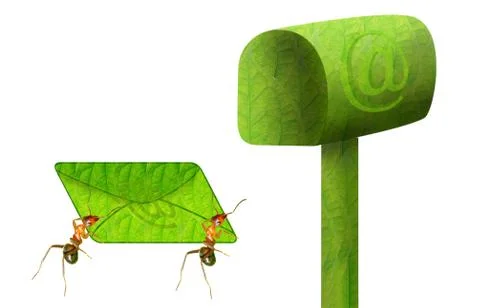 Ants incoming mail Stock Illustration