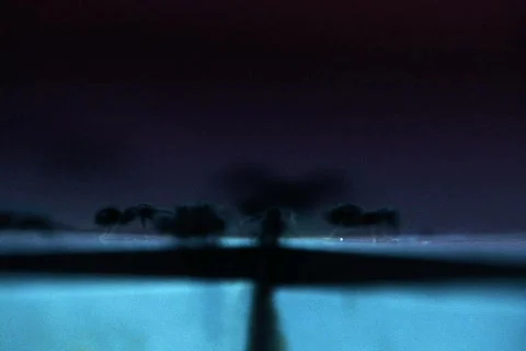 Ants Infestation NTSC Stock Footage 418773