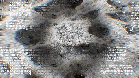 The ants join the matrix. Network colony coding. Dispersion. Abstract Stock Footage 242427098