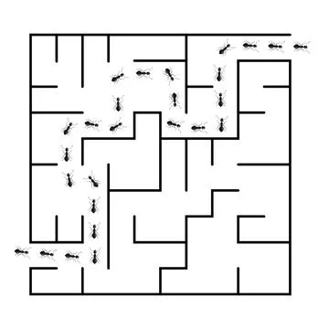 Ants into labyrinth isolated on white background. Game concept, icon for busi Stock Illustration