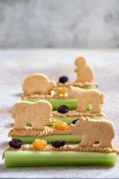 Ants on a Log Snack with Celery Peanut Butter, Raisins and Cookie Stock Photos