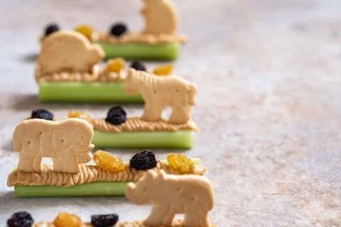 Ants on a Log Snack with Celery Peanut Butter, Raisins and Cookie Stock Photos
