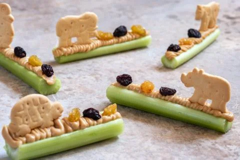 Ants on a Log Snack with Celery Peanut Butter, Raisins and Cookie Stock Photos
