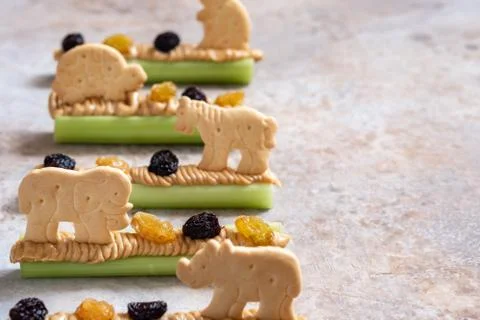 Ants on a Log Snack with Celery Peanut Butter, Raisins and Cookie Stock Photos