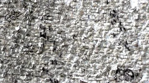 Ants Marching In 2 Lines Stock Footage 33777575