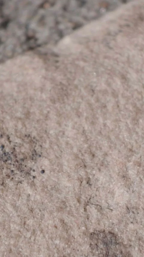 Ants marching on granite patio tiles in alternating directions along a narrow Stock Footage 342294988