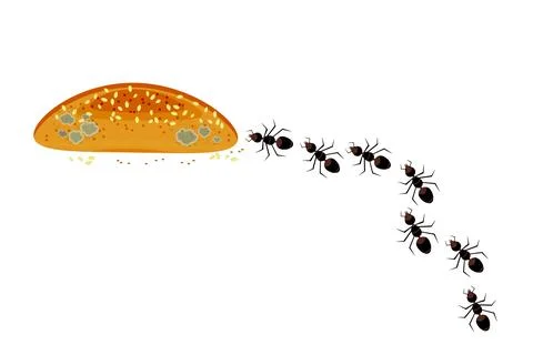 Ants marching in line row toward bread. Ants colony and food. Stock Illustration