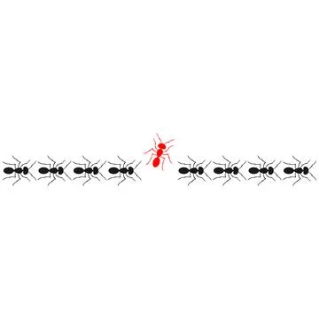 Ants marching or walking and one changing direction. Think differently Stock Illustration