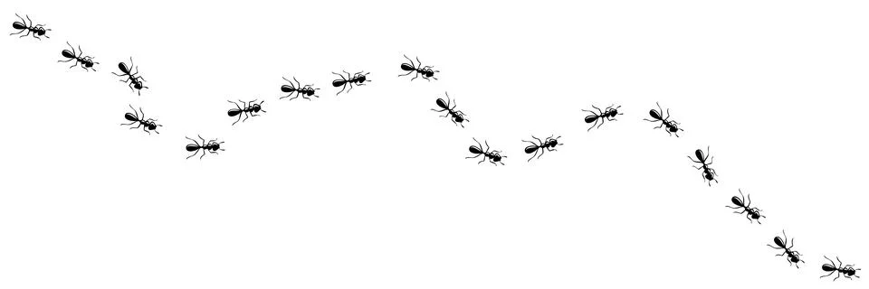 Ants marching in trail. Ant path isolated in white background. Vector Illustrazione stock