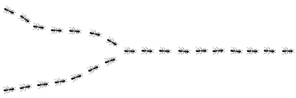 Ants marching in trail. Ant path isolated in white background. Vector Stock Illustration