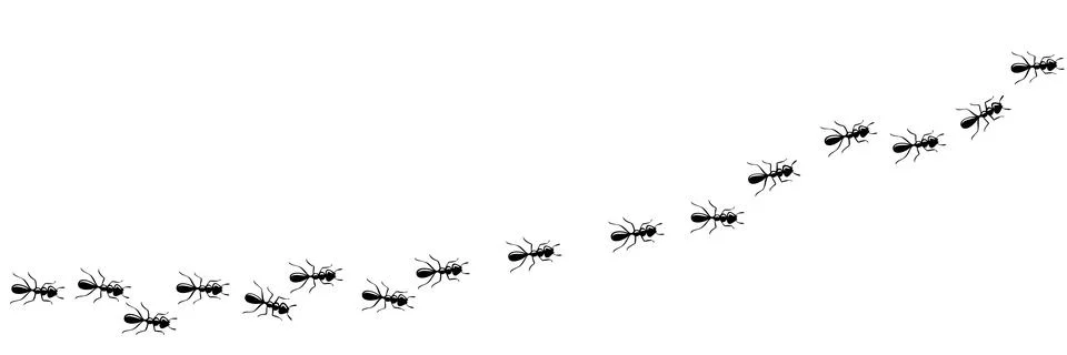 Ants marching in trail. Ant path isolated in white background. Vector Illustrazione stock