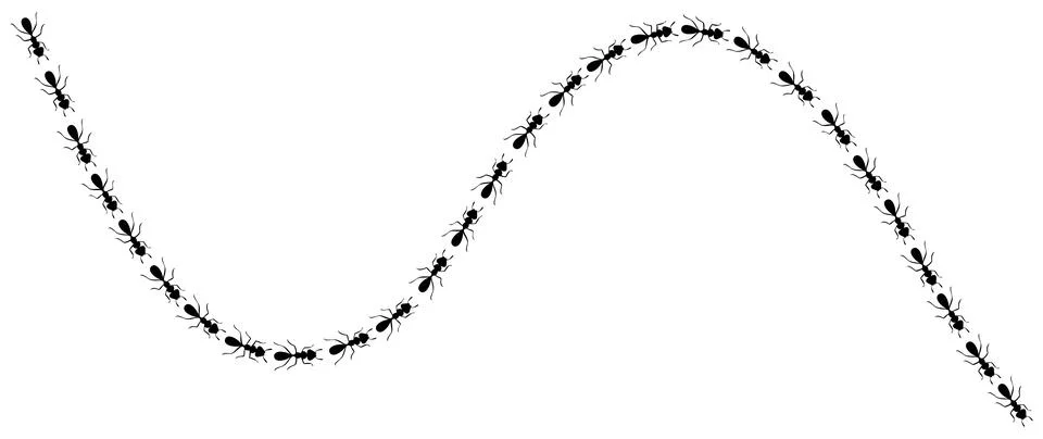 Ants marching in trail. Ant path isolated in white background. Vector Illustration