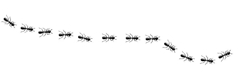 Ants marching in trail. Ant path isolated in white background. Vector Illustration