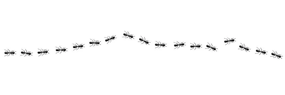 Ants marching in trail. Ant path isolated in white background. Vector Stock Illustration