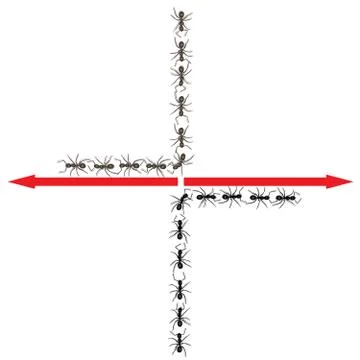Ants moving in different directions Stock Illustration