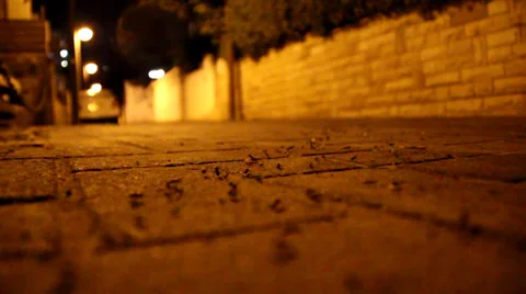 Ants outside villa Vídeos de archivo 29644544