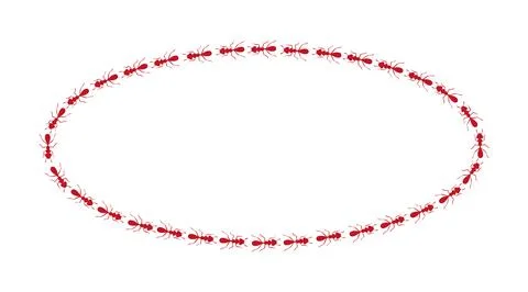 Ants path oval border. Ant circle trail isolated in white background. Vector Illustrazione stock