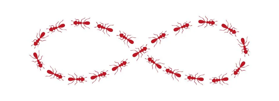 Ants path shaping infinity sign. Ant trail isolated in white background. Vector Stock Illustration