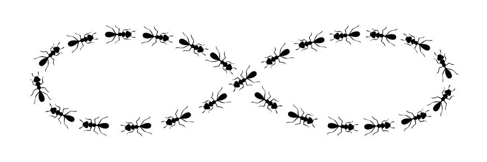 Ants path shaping infinity sign. Ant trail isolated in white background. Vector Stock Illustration
