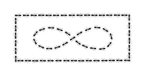Ants path shaping infinity sign and square boder. Ant trail isolated in white Illustrazione stock