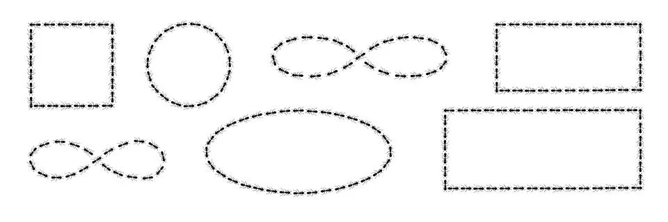 Ants path shaping infinity sign, square and circle boders. Ant trail isolated in Stock Illustration