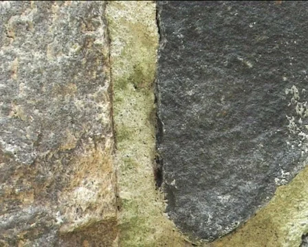 Ants on the rock 2 Video stock 82490