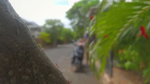 Ants run by tree and man on background go out moto Video stock 155199524