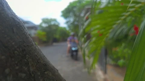 Ants run by tree and man on background parks moto Stock Footage 155849517