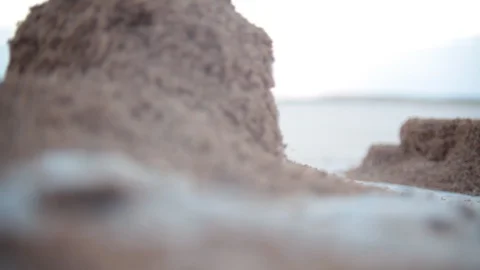 Ants in saltpan Stock Footage 129757801