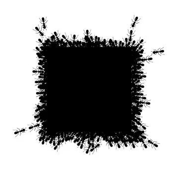 Ants square border. Ants forming rectangular shape isolated in white background Stock Illustration
