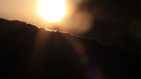 Ants sunset Stock Footage 36346472