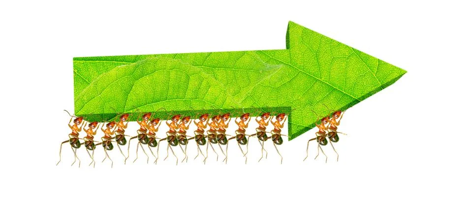 Ants teamwork Stock Illustration