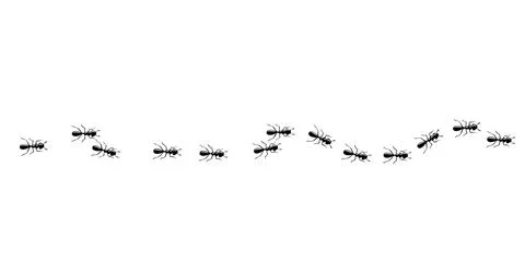 Ants trail pattern. Ant path isolated in white background. Vector illustration Illustrazione stock