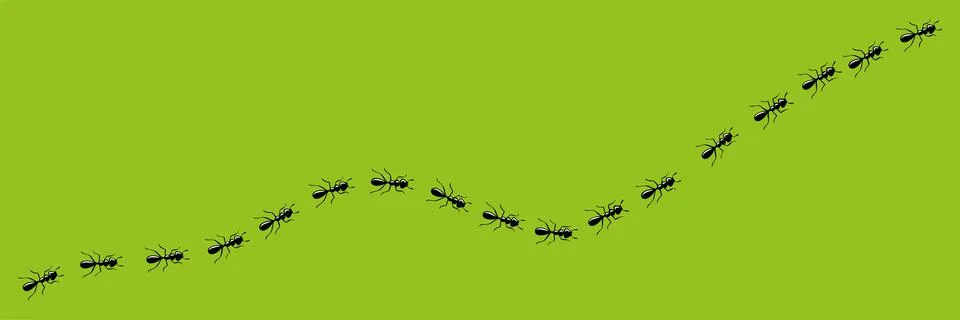 Ants trail. Route or path of ants isolated in green background. Vector Stock Illustration