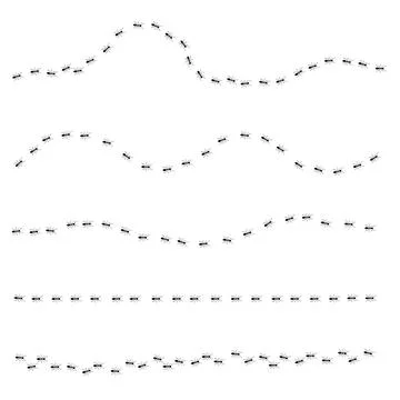 Ants walk in 5 rows. Stock Photos