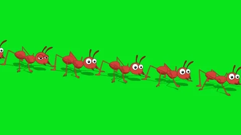 Ants walking together video Video stock 324812933