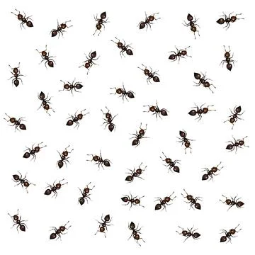 Ants on white background Stock Illustration