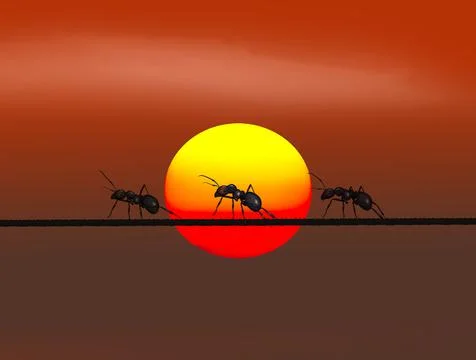 Ants on wire at sunset Stock Illustration