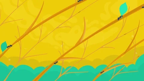 Ants  Work Stock Footage 72450546