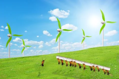 Ants work Stock Illustration