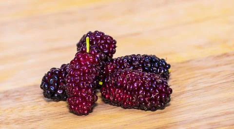 ANU 8295 Stock Photos