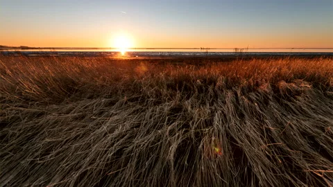 ANVERS, couché de soleil sur la mer du Nord Vídeos de archivo 141750527